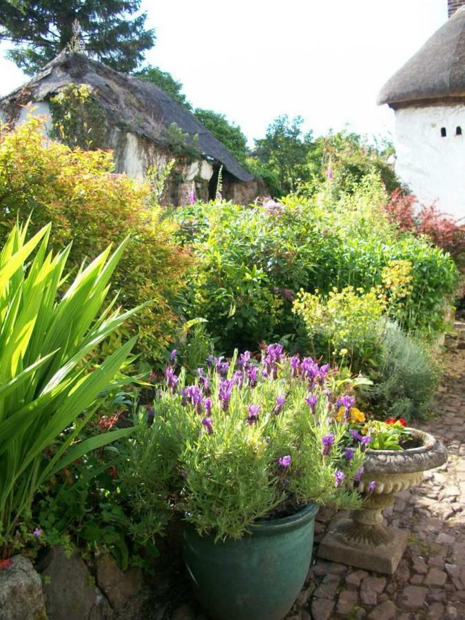 Middletown Farmhouse B&B Okehampton Exterior foto
